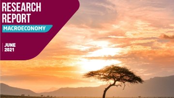 Sub saharan Africa economies